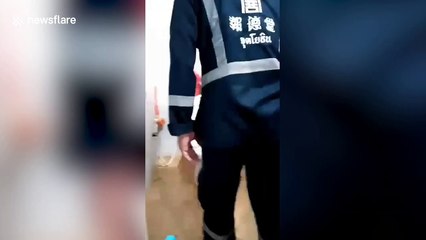 Thai factory worker shocked after finding cobra in the toilet