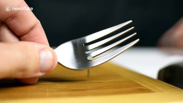 DIY guru demonstrates 10 safe and simple ways to hammer a nail using household objects