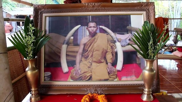 Thai Buddhist devotees shocked after finding late monk's hoard of prehistoric elephant fossils