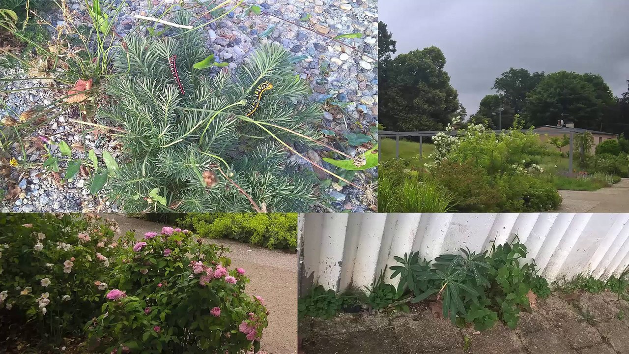 14 - CFA CFPPA de l’Allier - Rencontre EcoJardin 2020