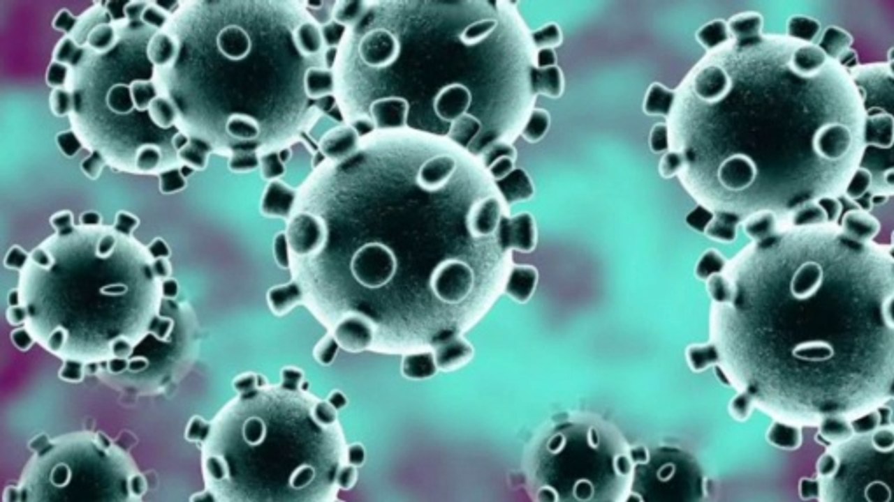 Coronavirus.. | viral decease |