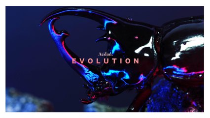 Aedan - Evolution (Official Music Video)