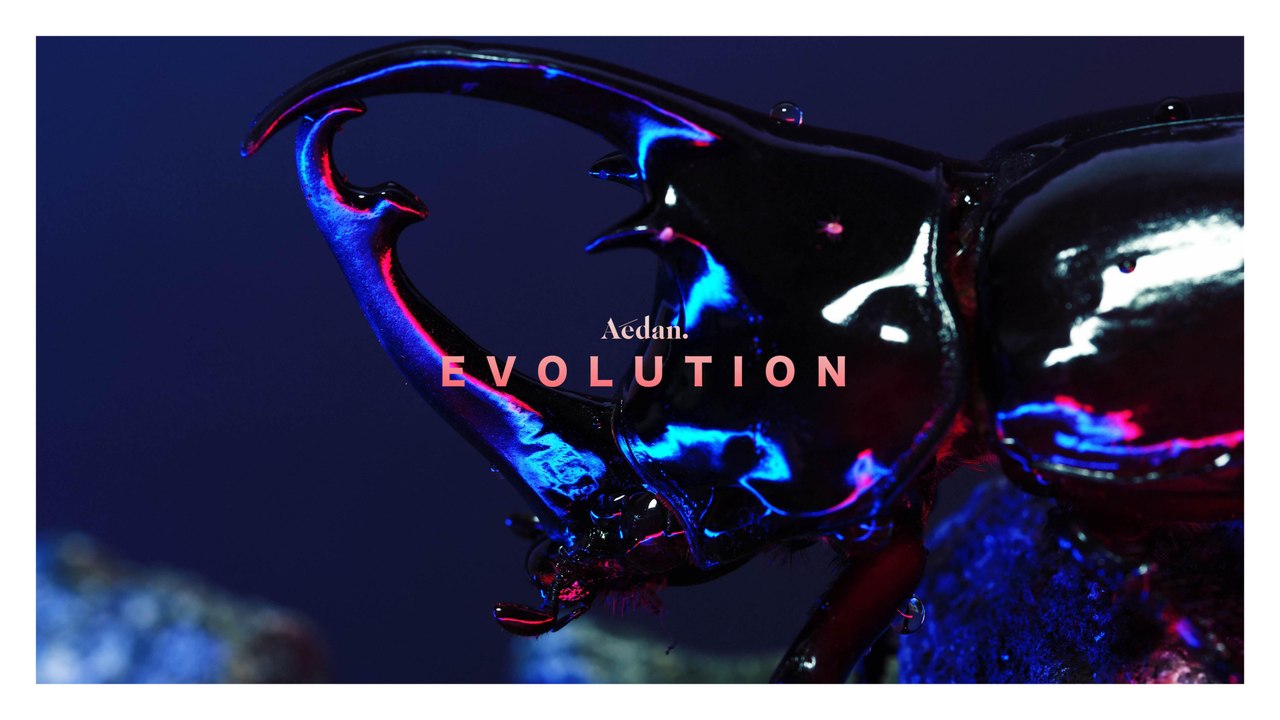 Aedan - Evolution (Official Music Video)