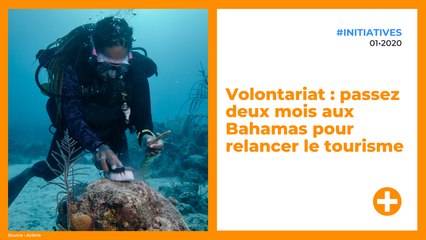 Volontariat : passez deux mois aux Bahamas pour relancer le tourisme