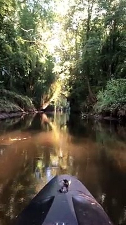 Bann Clean-up