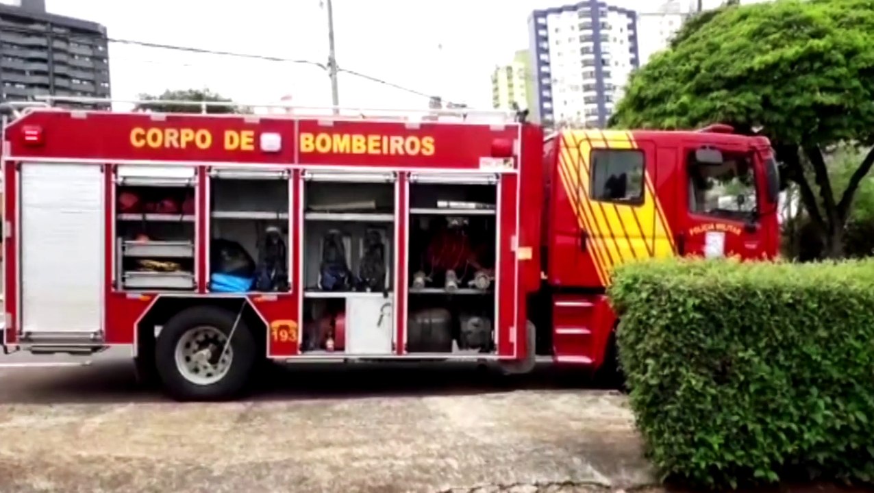 Corpo de Bombeiros é acionado para resgatar gato enroscado em arame