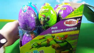 Ninja Turtles surprise egg set