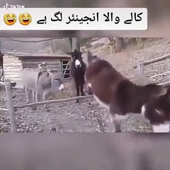 اب_میشن_نہ_کرنا_کسی_انجینیئر_کو