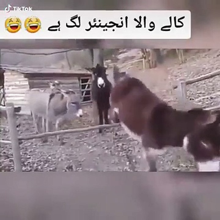 اب_میشن_نہ_کرنا_کسی_انجینیئر_کو
