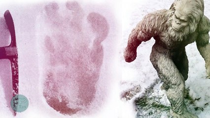 Is Bigfoot Real? Has Bigfoot DNA Been Discovered?