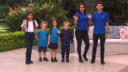 bd-opciones-de-calzado-escolar-030220