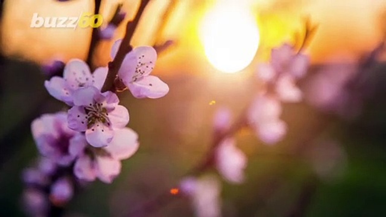 How to Make Spring Cleaning More Environmentally Friendly