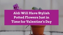 Aldi Will Have Stylish Potted Flowers Just in Time for Valentine’s Day