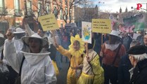 Abejas en peligro: los apicultores piden su protección