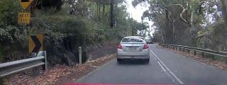 Cyclists Take Risks on Curving Road