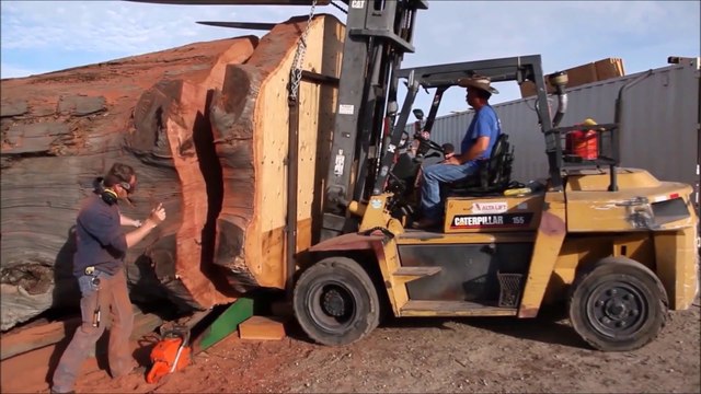 Assistez à la découpe d'une tranche de Séquoia géant grâce à la plus grande tronçonneuse du monde