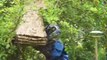 Il découvre un énorme nid de guêpes dans un arbre