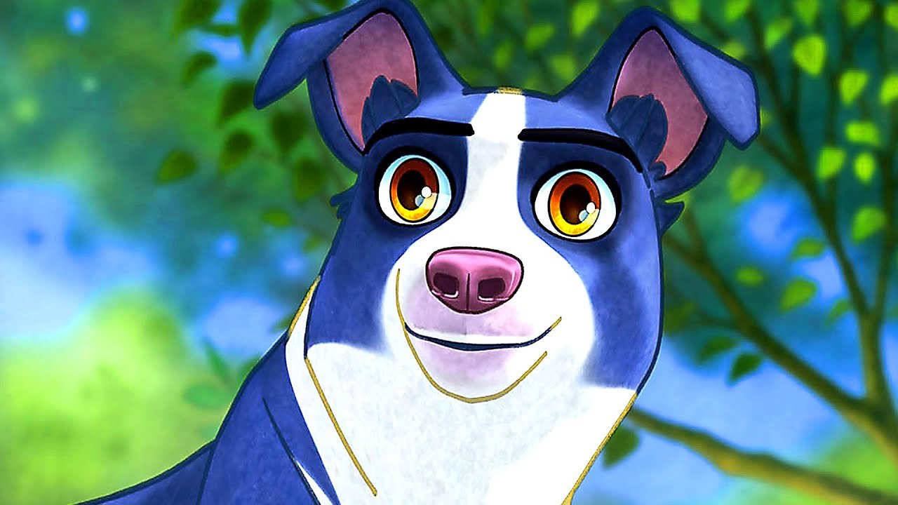 NOUS LES CHIENS Bande Annonce en Français