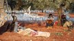 Syrie: nouvelles frappes meurtrières dans le nourd-ouest du pays