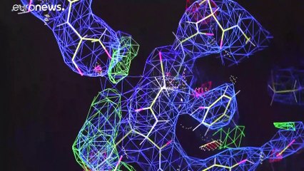 À procura de uma vacina para o coronavírus