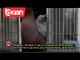Stop - Telefonata nga burgu i Peqinit: ja si na keqtrajtojne..! (03 shkurt 2020)