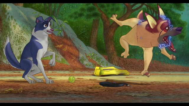 NOUS LES CHIENS Film