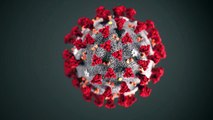 Et si le coronavirus 2019-nCoV mutait dans une forme plus pathogène ?
