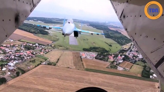 Le ZAP de la semaine #205 : des fails, des animaux mignons et une jeune femme trop alcoolisée !