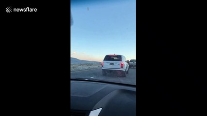 Shocking moment tractor-trailer blown over by high winds in California