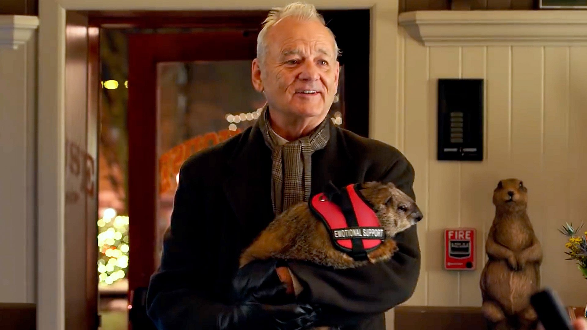 Groundhog Bill Murray(02)