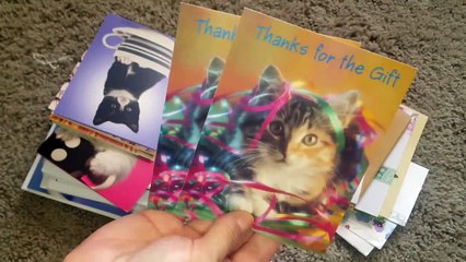 ASMR Cute Cats Card Collection Show and Tell (close up, soft spoken)