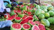 500 KG WATERMELON - Summer Health Drinks - WaterMelon Juice from Farm Fresh Fruits - Village Cooking