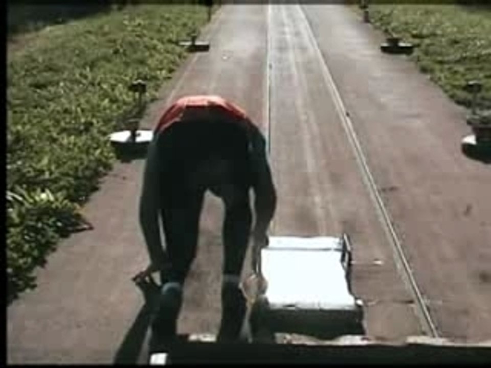 Gehin Thomas Chute Aout 2007 TG1