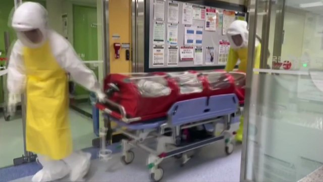 [더뉴스-더인터뷰] 국내 16번째 확진자 발생...완치 환자 퇴원 검토 / YTN