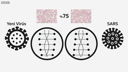 Dünyayı tehdit eden koronavirüsten nasıl korunmalıyız?