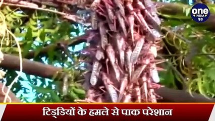 Emergency in Pakistan: Imran Khan ने Army से कहा, इस देश को बचाइए | वनइंडिया हिंदी
