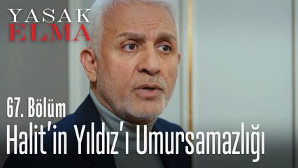Halit'in Yıldız'ı umursamazlığı - Yasak Elma 67. Bölüm