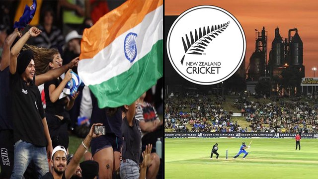 IND VS NZ,5th T20I : Indian Fan Restricted From Entering Bay Oval After Insulting Commentator