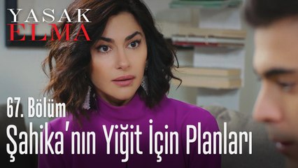 Şahika'nın Yiğit için planları - Yasak Elma 67. Bölüm