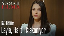 Leyla, Halit'i kıskanıyor - Yasak Elma 67. Bölüm