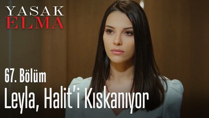Leyla, Halit'i kıskanıyor - Yasak Elma 67. Bölüm
