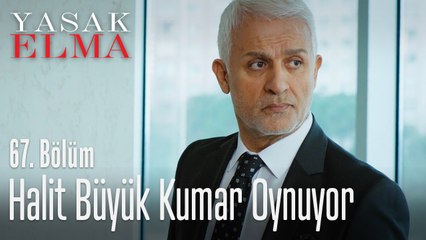 Halit her şeyi ortaya koyuyor - Yasak Elma 67. Bölüm