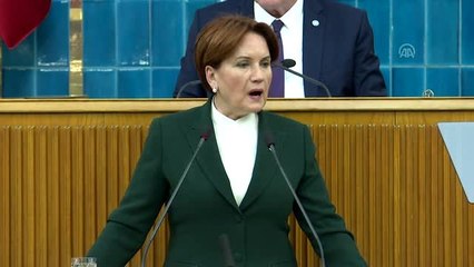 Akşener: "Milletin devleti, milletin hazinesidir"