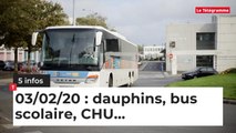 Dauphins, bus scolaire, CHU... Cinq infos bretonnes du 03 février
