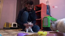 Sokak hayvanları için ev kiralayan gençten duygulandıran hareket...Depremde enkaz altında kalan kedileri kurtarıp sahiplendi