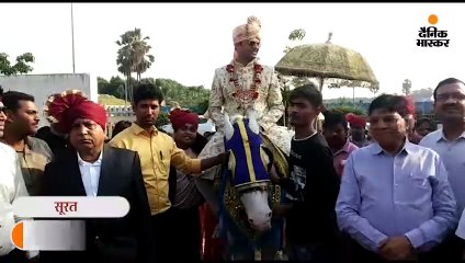 सूरत में गाय माता को साक्षी मानकर सात फेरे लिए