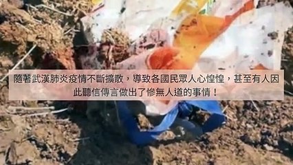 CollectionVideo-adgeek_teepr_curation-www.teepr.com-copy6-TeeprParser-2020/02/04-10:31