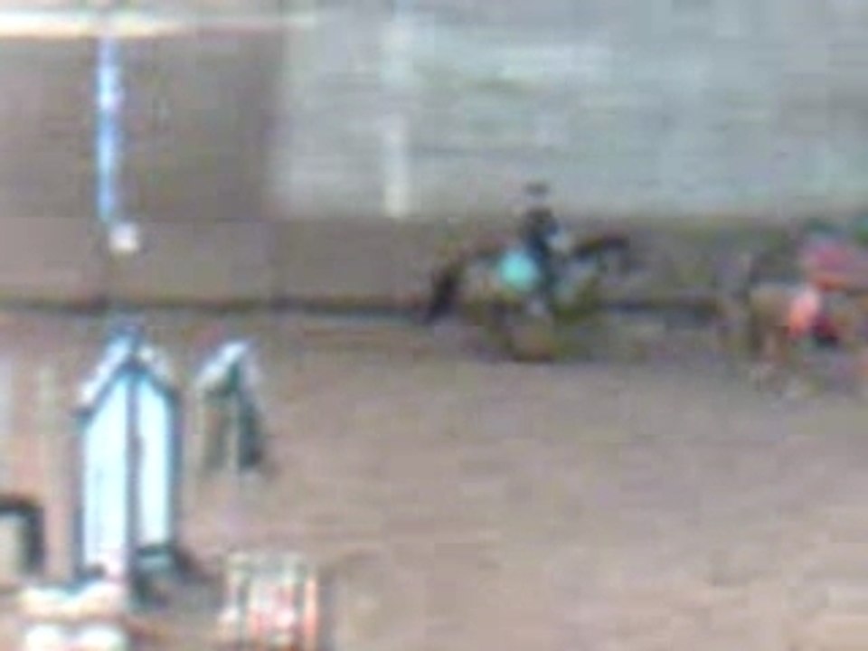 Echaffement galop