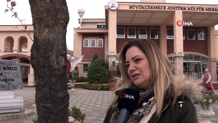 Çınar Ağaçları Kanser Bulaşma Riskine Karşı Budanamıyor