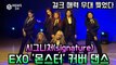 시그니처(cignature), EXO '몬스터' 댄스 커버 '걸크 폭발, 무대 찢었다'